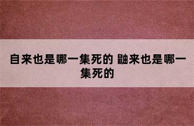 自来也是哪一集死的 鼬来也是哪一集死的